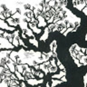 Meet your Posher, Kathleen